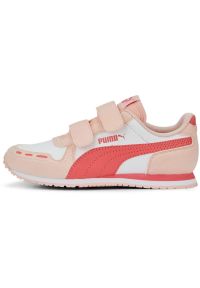 Buty sportowe dla dzieci Puma CABANA na rzep. Zapięcie: rzepy. Kolor: czerwony, biały, różowy, wielokolorowy. Materiał: tkanina, materiał, syntetyk, guma. Sport: turystyka piesza #1