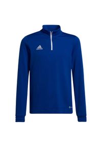 Adidas - Bluza piłkarska męska adidas Entrada 22 Training Top. Kolor: niebieski, wielokolorowy, biały. Sport: piłka nożna