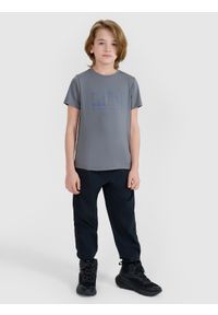 4f - 4F T-shirt trekkingowy szybkoschnący chłopięcy - szary 122/128 (6-8 lat). Kolor: szary. Materiał: dzianina, włókno, syntetyk, materiał, elastan. Wzór: gładki, nadruk, ze splotem, jednolity. Sezon: lato. Sport: turystyka piesza, fitness