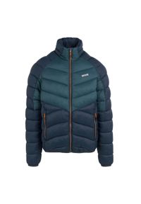 Regatta - Męska Ocieplana Kurtka Dalent. Kolor: niebieski, wielokolorowy, żółty. Materiał: puch. Sport: turystyka piesza #1