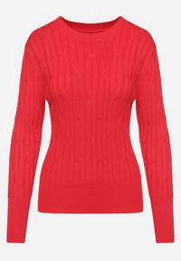 Born2be - Czerwony Sweter z Wiskozą Ozdobiony Tłoczeniem Savinia. Okazja: na spotkanie biznesowe, na co dzień. Kolor: czerwony. Materiał: wiskoza. Wzór: aplikacja. Styl: biznesowy, casual, elegancki #6