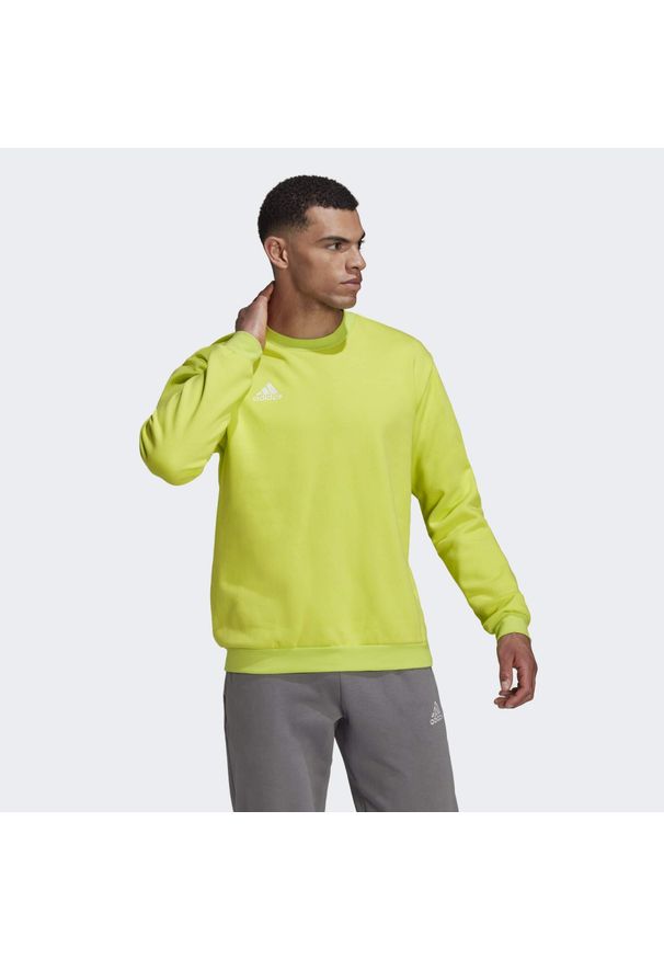 Adidas - Bluza adidas Entrada 22. Kolor: żółty. Materiał: materiał. Sport: fitness