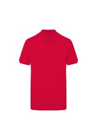 SG - Męska Koszulka Polo Signature Stretch Bez Metki. Typ kołnierza: polo. Kolor: czerwony