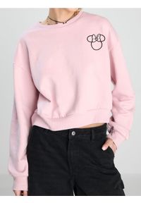 Sinsay - Bluza z długim rękawem Minnie Mouse - różowy. Kolor: różowy. Długość rękawa: długi rękaw. Długość: długie. Wzór: motyw z bajki