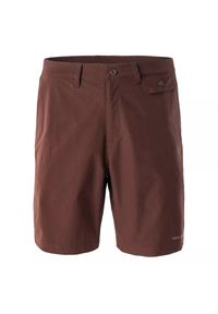 Szorty Iguana Vikkin. Kolor: brązowy. Sport: turystyka piesza #1