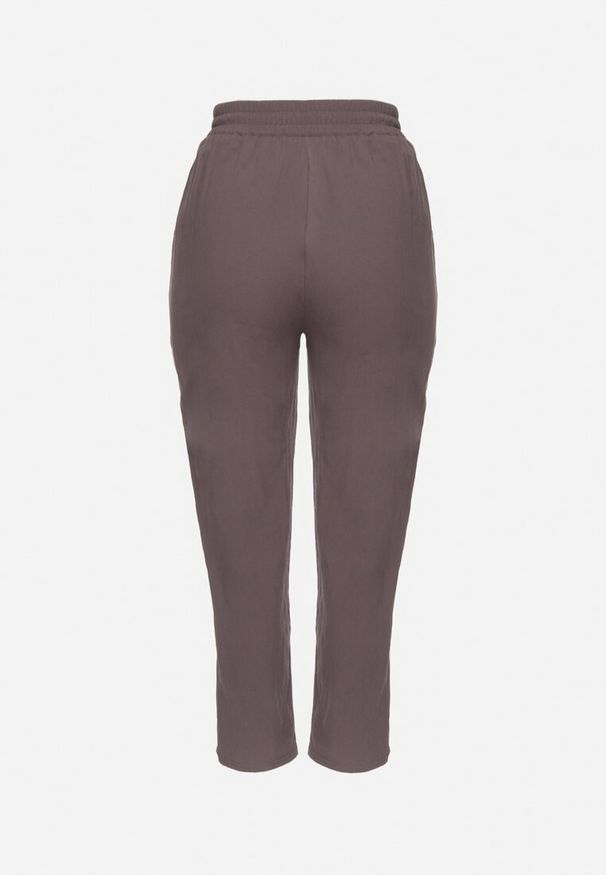 Born2be - Szare Klasyczne Spodnie Bawełniane z Gumką w Pasie Olozi. Okazja: na co dzień. Kolekcja: plus size. Kolor: szary. Materiał: bawełna. Styl: klasyczny
