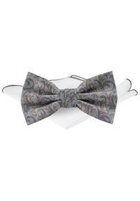 Męska Mucha w Komplecie z Poszetką - Chattier - Popiel z Akcentami Brązu. Kolor: brązowy. Styl: sportowy, elegancki #1