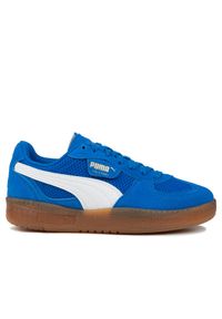 Buty damskie sportowe sneakersy Puma PALERMO MODA VINTAGE WNS. Kolor: brązowy, biały, wielokolorowy. Sport: turystyka piesza