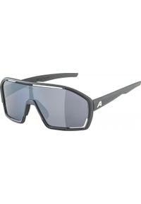 Alpina - Okulary sportowe Bonfire ALPINA FOGSTOP szary. Kolor: czarny