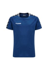 Koszulka do piłki nożnej dla dzieci Hummel trainig hml authentic. Kolor: niebieski. Materiał: jersey, bawełna. Sport: piłka nożna