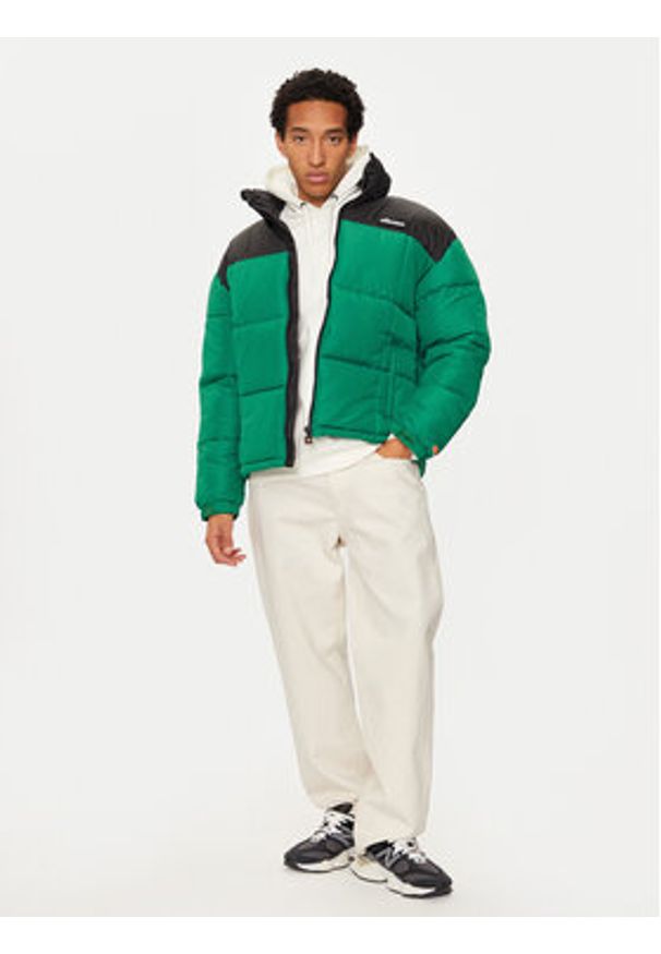 Ellesse Kurtka zimowa SHX20980 Zielony Regular Fit. Kolor: zielony. Materiał: syntetyk. Sezon: zima