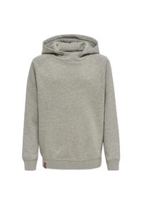 Bluza z kapturem dla dzieci Hummel Red Classic. Typ kołnierza: kaptur. Kolor: szary. Sport: joga i pilates #1