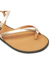 Vagabond Shoemakers Sandały Tia 5531-483-81 Złoty. Kolor: złoty. Materiał: skóra