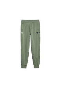 Puma Spodnie Mapf1 62114807. Kolor: zielony