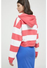 Tommy Jeans bluza bawełniana damska kolor różowy z kapturem wzorzysta. Typ kołnierza: kaptur. Kolor: różowy. Materiał: bawełna. Długość: krótkie. Wzór: aplikacja #4