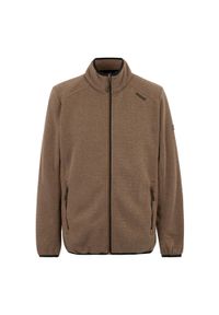Regatta - Męska Bluza Polarowa Torrens Z Pełnym Zamkiem Błyskawicznym. Kolor: brązowy. Materiał: polar. Styl: sportowy. Sport: turystyka piesza #1