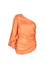 Pinko Bluzka "Birillo" | 100719 A0EZ | Kobieta | Pomarańczowy. Kolor: pomarańczowy. Materiał: poliester. Długość rękawa: długi rękaw. Długość: długie. Styl: vintage, klasyczny, elegancki