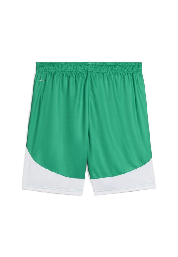 Puma - Męskie szorty piłkarskie SK Rapid Wiedeń PUMA Sport Green White. Kolor: zielony, biały, wielokolorowy. Sport: piłka nożna