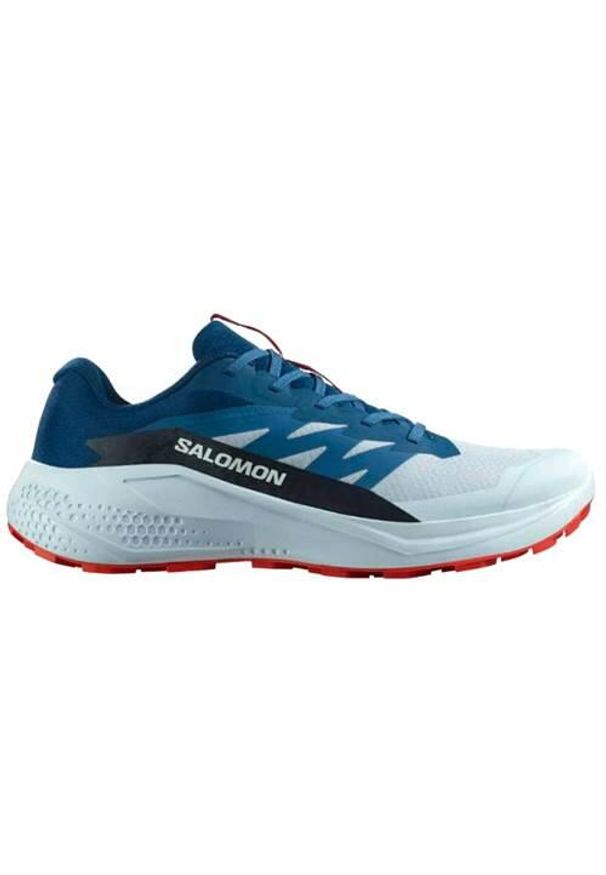 salomon - Buty do biegania męskie Salomon Alphaglide. Kolor: niebieski. Materiał: syntetyk, materiał. Szerokość cholewki: normalna. Sport: bieganie