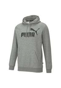 Puma Essential Big Logo Hoody, męska bluza, szara. Kolor: wielokolorowy, czarny, szary. Materiał: bawełna