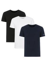 Ochnik - Zestaw T-shirtów męskich basic. Materiał: bawełna