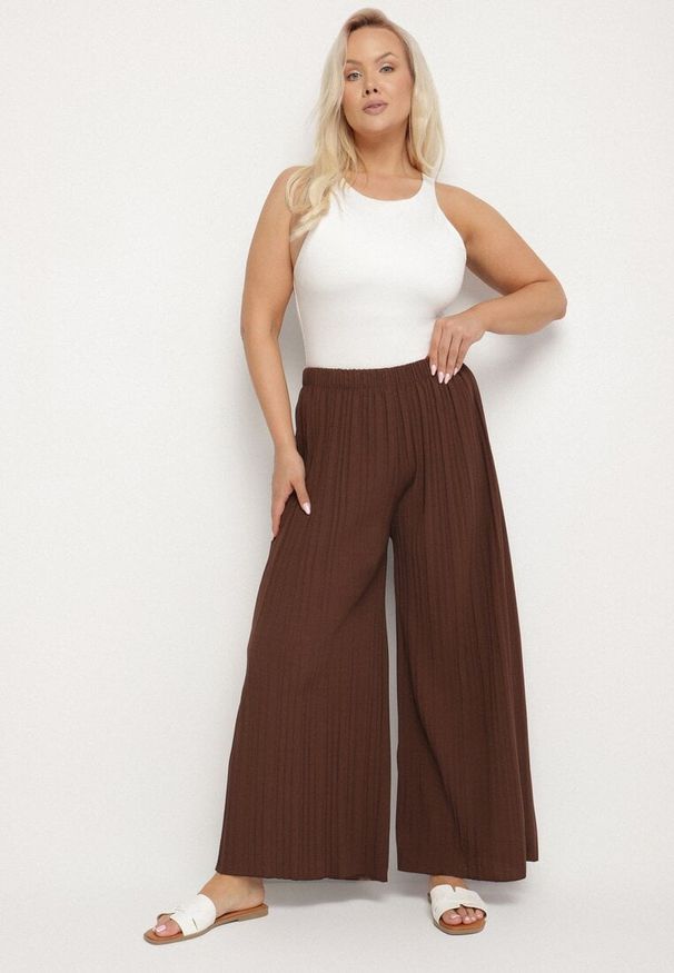 Born2be - Brązowe Szerokie Spodnie z Plisowanej Tkaniny z Gumką w Pasie Cesele. Kolekcja: plus size. Kolor: brązowy. Materiał: tkanina. Styl: elegancki