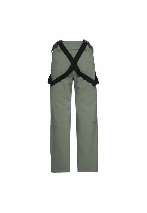 Dziecięce spodnie narciarskie Protest Bork. Kolor: zielony. Sezon: zima. Sport: narciarstwo