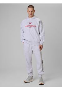 4f - 4F Spodnie dresowe joggery męskie - szare L. Kolor: szary. Materiał: dresówka. Sport: fitness #1