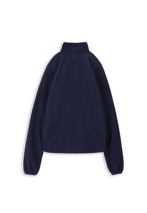 Lemon Explore - Bluza sportowa dla dzieci Lemon Exlopre ZL3 polarowa ze stójką. Typ kołnierza: kołnierzyk stójkowy. Kolor: niebieski. Materiał: poliester. Sport: turystyka piesza