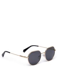 POLAROID - Polaroid Okulary przeciwsłoneczne C PLD 6236/S/X Czarny. Kolor: czarny #1