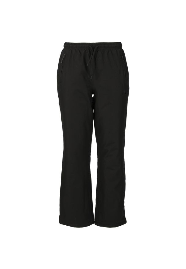 Spodnie zimowe damskie Whistler Fando V2 W-PRO 10000. Kolor: czarny. Sezon: zima. Sport: narciarstwo