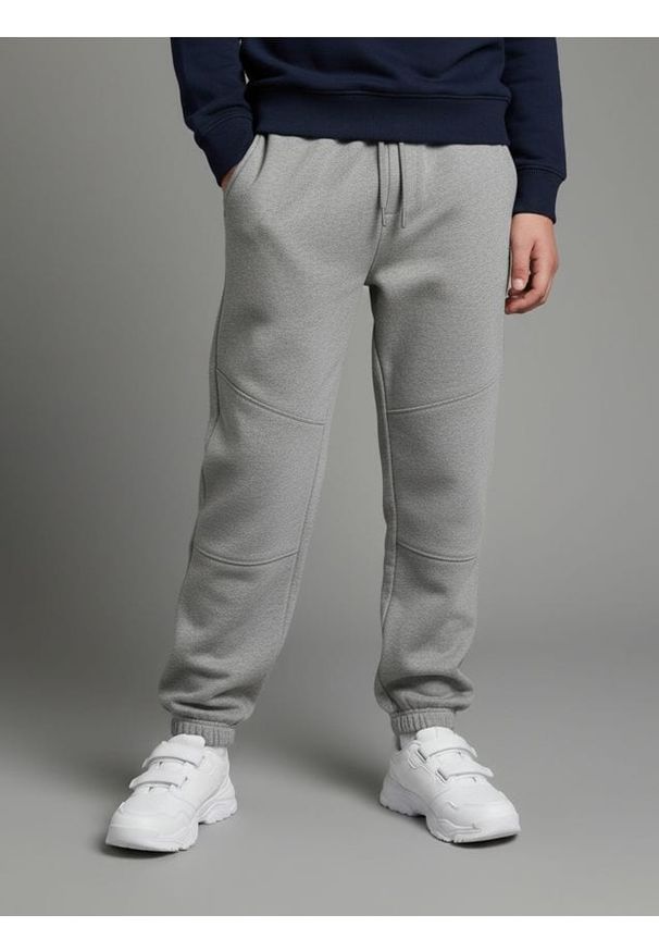 Sinsay - Spodnie dresowe jogger - szary. Kolor: szary. Materiał: dresówka