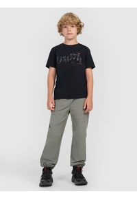 4f - 4F T-shirt regular z nadrukiem chłopięcy - czarny 134 (8-9 lat). Okazja: na co dzień. Kolor: czarny. Materiał: jersey, materiał, bawełna. Długość rękawa: krótki rękaw. Długość: krótkie. Wzór: nadruk. Sezon: lato. Styl: klasyczny, sportowy, casual