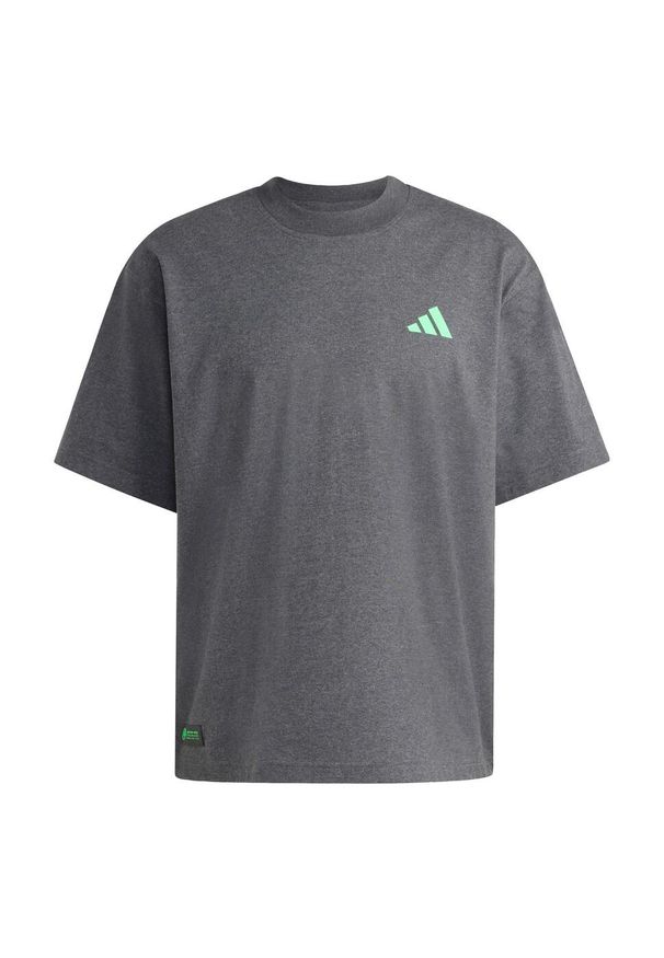 Adidas - Koszulka Mercedes - AMG Petronas Formula One Team Premium Sweat. Kolor: szary. Sport: fitness