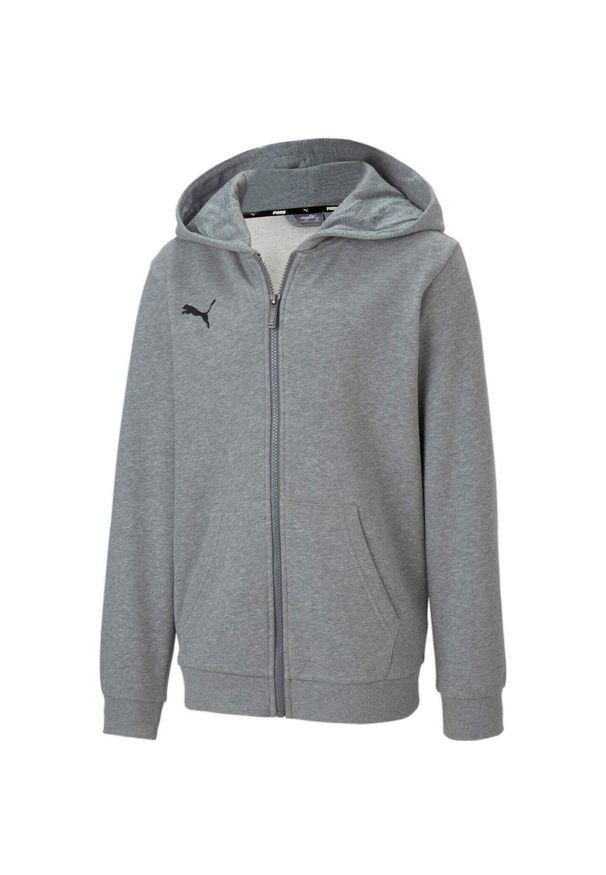 Bluza z kapturem Puma Teamgoal 23 Casuals Hooded Jacket Jr, Dzieci. Typ kołnierza: kaptur. Kolor: szary. Materiał: materiał, bawełna