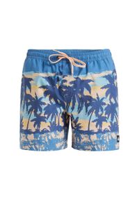 Quiksilver - Szorty kąpielowe dla Mężczyzn EVERYDAY STRAIGHT 15" Niebieski. Kolor: niebieski. Materiał: materiał, poliester. Styl: sportowy