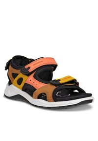 ecco - ECCO Sandały X-Trinsic K Sandal 3S 71064360875 Kolorowy. Wzór: kolorowy