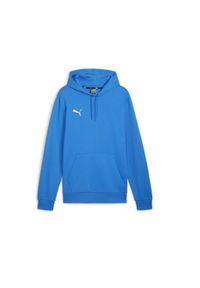 Bluza sportowa męska Puma B23607. Typ kołnierza: kaptur. Kolor: niebieski