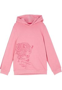 bonprix - Bluza z kapturem, z czystej bawełny organicznej. Typ kołnierza: kaptur. Kolor: różowy. Materiał: bawełna #1