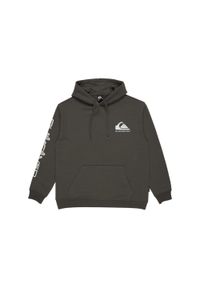Quiksilver - Bluza z kapturem dla Mężczyzn OMNI LOGO Czarny. Typ kołnierza: kaptur. Kolor: czarny. Materiał: poliester, bawełna. Długość: długie
