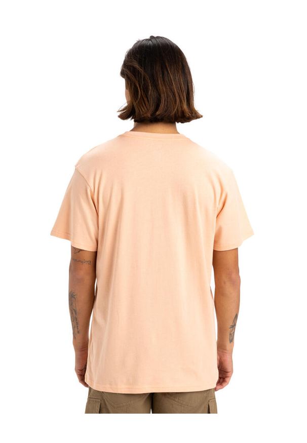 Quiksilver - Koszulka z krótkim rękawem dla Mężczyzn FINELINE Różowy. Kolor: różowy. Materiał: materiał, bawełna. Długość rękawa: krótki rękaw. Długość: krótkie