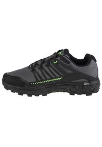 Buty do biegania męskie Inov-8 Roclite Ultra G 320. Kolor: szary