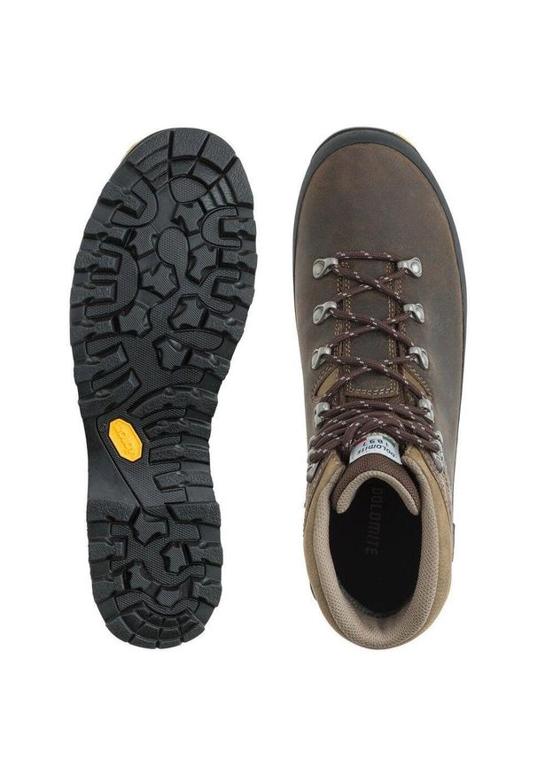 Buty trekkingowe męskie Dolomite Tofana GTX. Kolor: brązowy. Sport: turystyka piesza