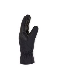 DC Shoes Rękawice narciarskie Salute ADYHN03037 Czarny. Kolor: czarny. Materiał: poliester. Sport: narciarstwo #3