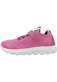 Geox - Kapcie GEOX J SPHERICA GIRL Rose. Kolor: różowy. Materiał: syntetyk, tkanina. Sport: turystyka piesza