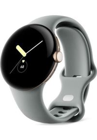 GOOGLE - Smartwatch nan. Rodzaj zegarka: smartwatch