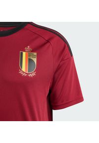 Adidas - Koszulka Belgium 24 Home Fan. Kolor: czerwony, brązowy, wielokolorowy. Materiał: materiał. Sport: piłka nożna