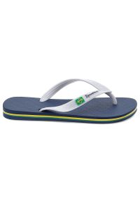 Niebieskie Japonki Ipanema Wygodne Obuwie Damskie. Okazja: na co dzień, na plażę, na spacer. Kolor: niebieski. Materiał: materiał. Wzór: paski. Sezon: lato. Styl: casual, klasyczny