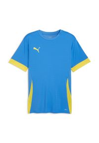 Koszulka treningowa dla dzieci Puma TeamGoal. Kolor: niebieski. Sport: piłka nożna #1