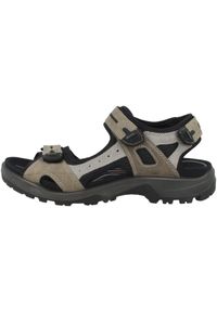 ecco - Buty do chodzenia męskie Ecco Offroad. Zapięcie: rzepy. Kolor: zielony. Materiał: materiał. Sport: turystyka piesza